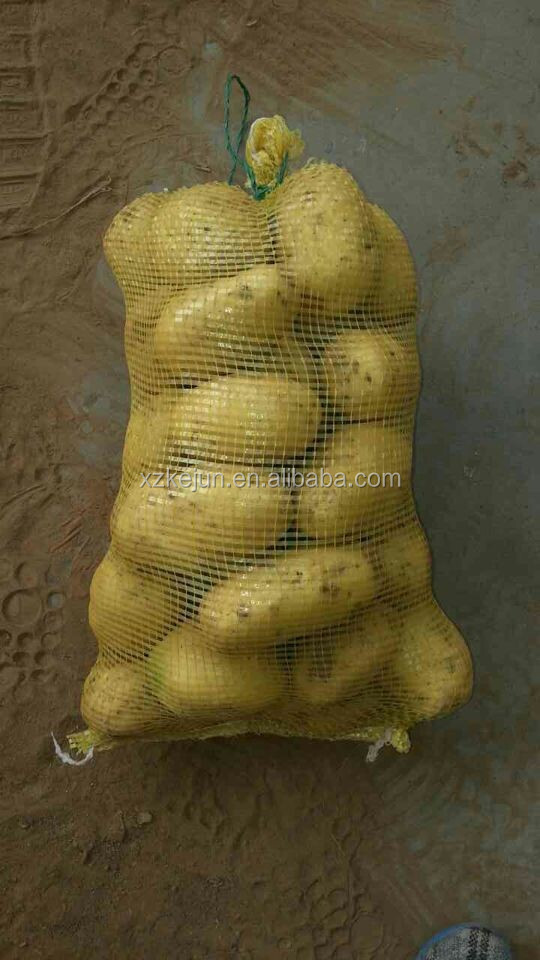 Sweet fresh Holland potato for exporting