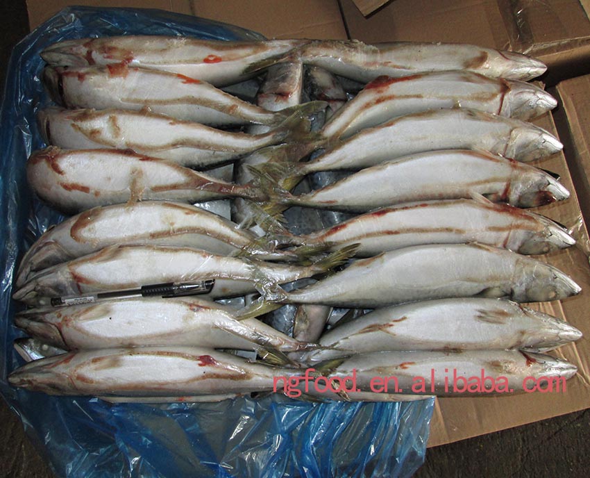 2015 400-500g 4-1