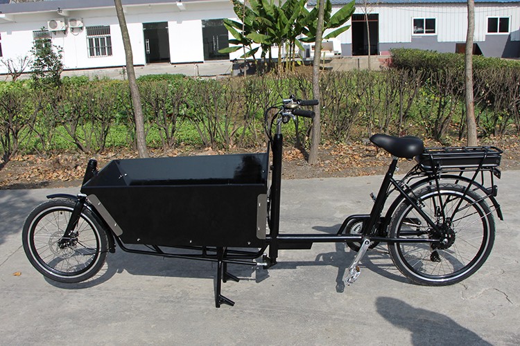 Adult Pedal Two Wheel Cheap Cargo Bike Manufacturer
