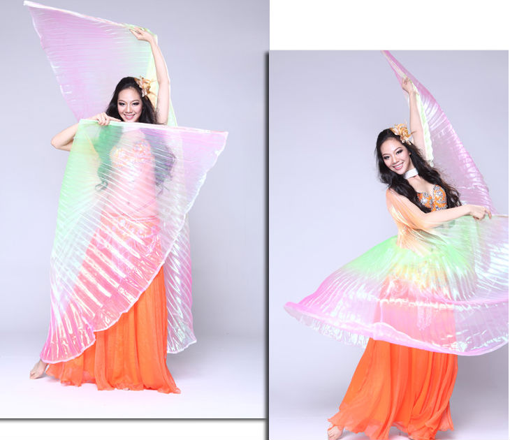 ベリーダンスの翼パフォーマンスのために、 ベリーダンス衣装の羽、 ダンス天使の羽問屋・仕入れ・卸・卸売り