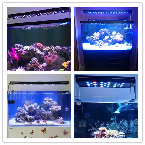 水族館アクセサリー2015新しいプログラム可能なled水槽照明マリン用サンゴ礁の魚飼育用の植物仕入れ・メーカー・工場