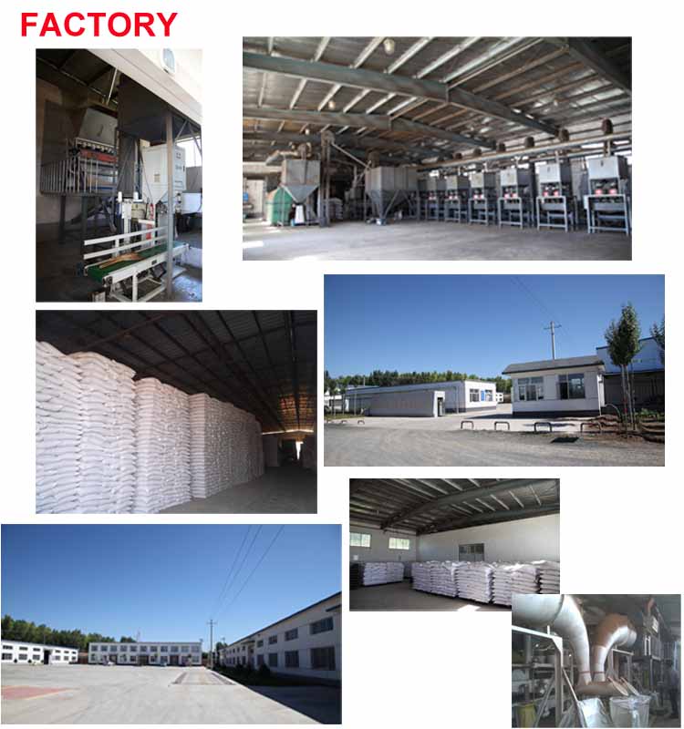 New Crop Chinese High Quality Fresh Onion for Sale / dehydrated onion / granulated onion