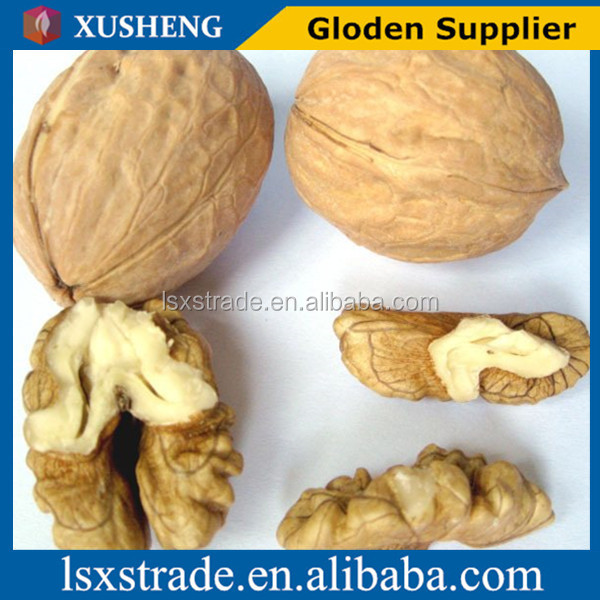 walnut kernels with competitive price (B)