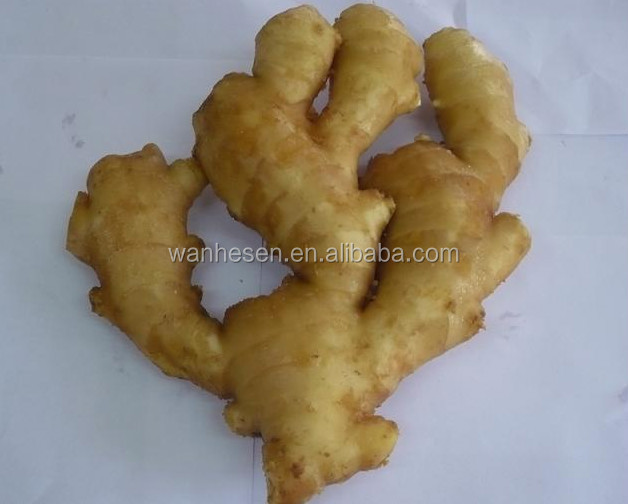 air dry ginger - best price from China