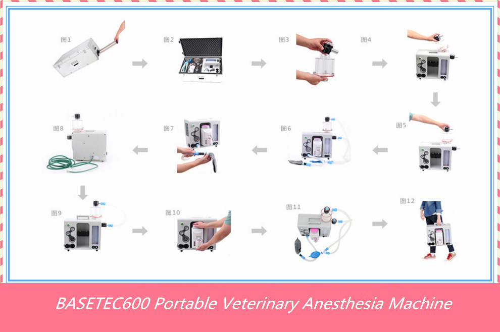 ceは承認された麻酔ワークステーションba<em></em>setec600vポータブル獣医麻酔器問屋・仕入れ・卸・卸売り