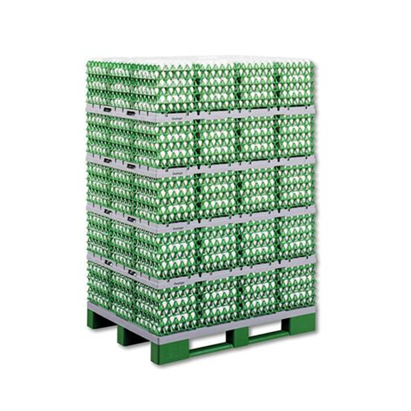 plastic incubator egg tray