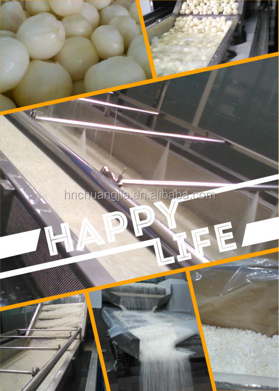 IQF Diced Onion