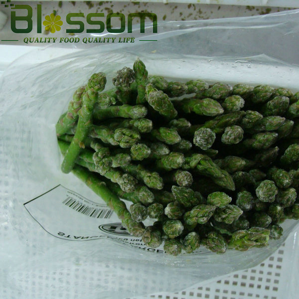 Top quality frozen green asparagus cut new crop green asparagus spear
