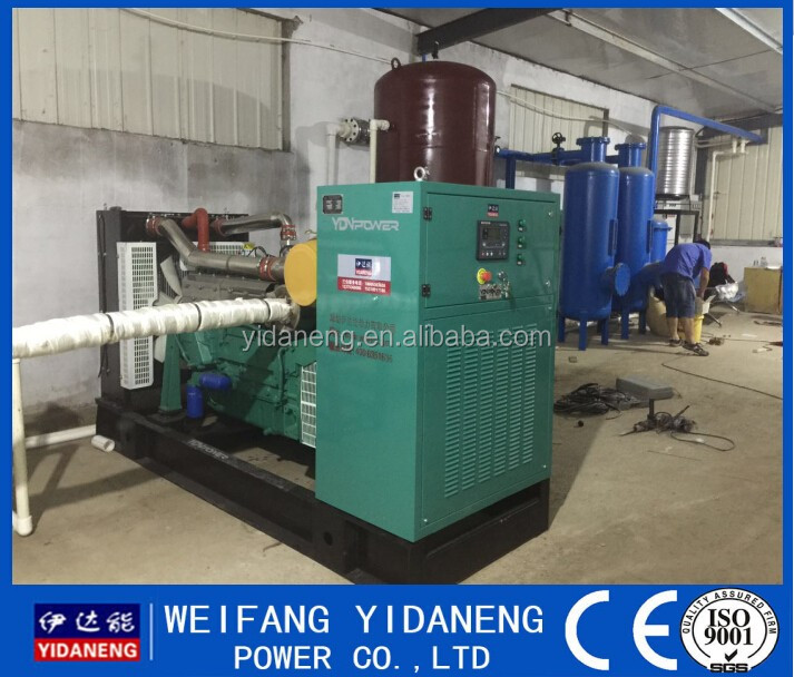 120kw Cow Dung Biogas plant Manufacture