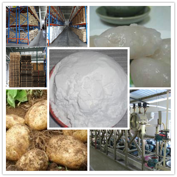 Best Product Modified Potato Starch Supply