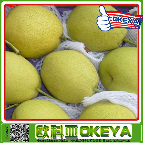 Top Quality Sweet Juicy canned pear halves/slices/dices/balls