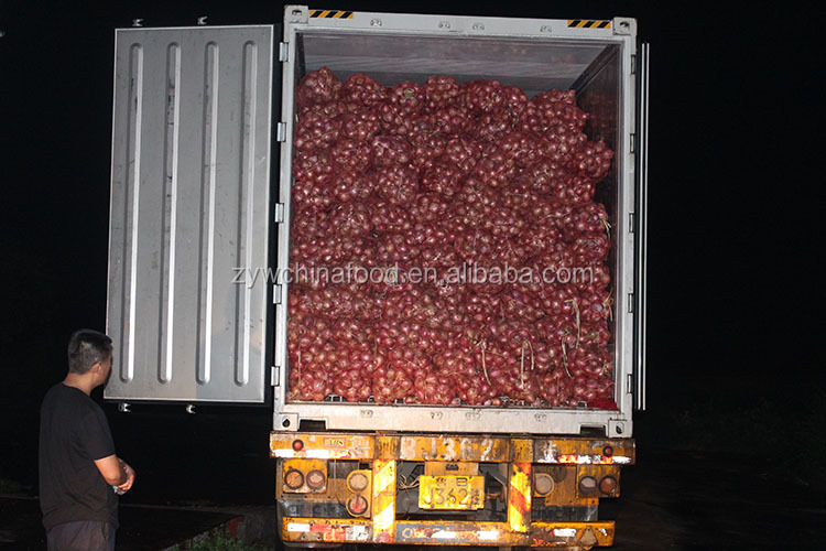 New Crop Prices Fresh Onion Hot Good Exporter