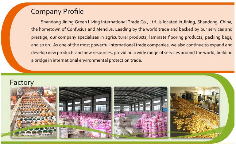 Organic Bulk Carrots For Market