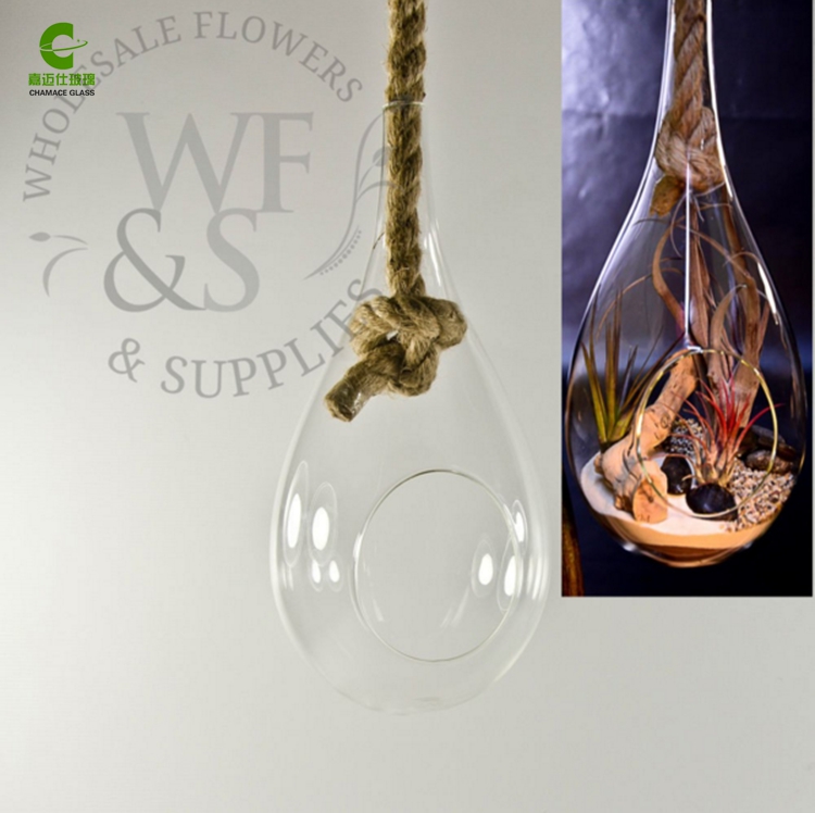 glass hanging ball vase