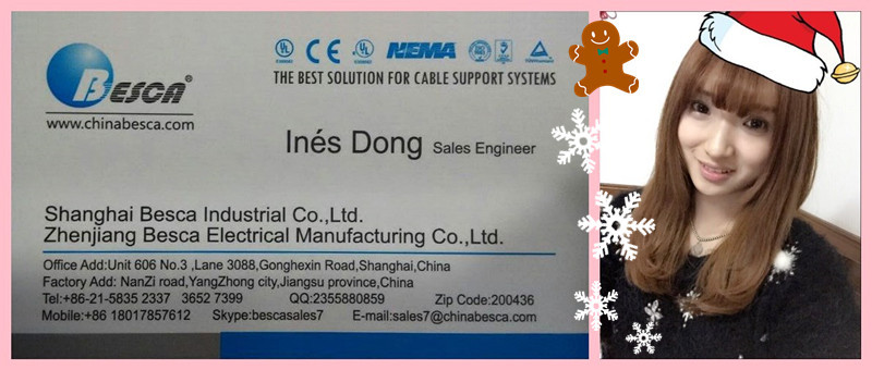 一つだけ工場でulヒンジ式wirewayケーブルトランキング防錆ケーブルトレイ付きカバーで中国のul番号E465156 besca仕入れ・メーカー・工場