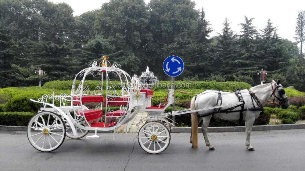 horse carriage.jpg