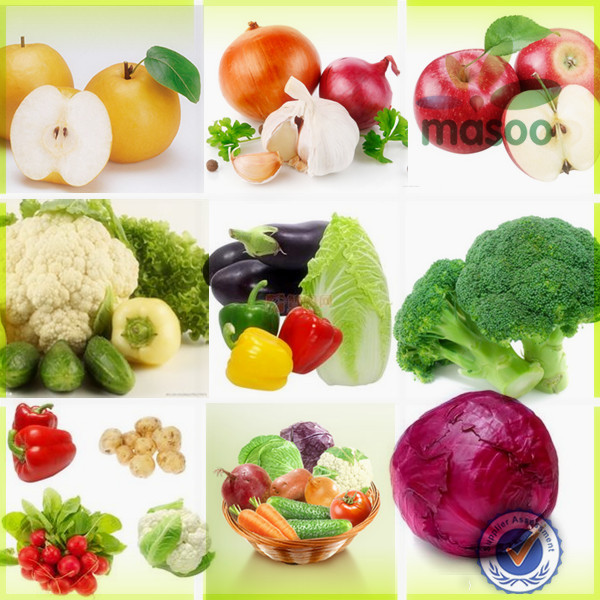 Chinese fresh sweet Holland potato factory and exporter