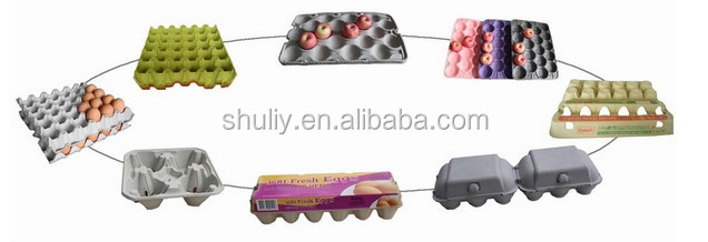egg tray.jpg