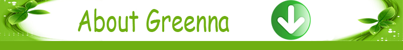 stevia extract rebaudioside a stevioside