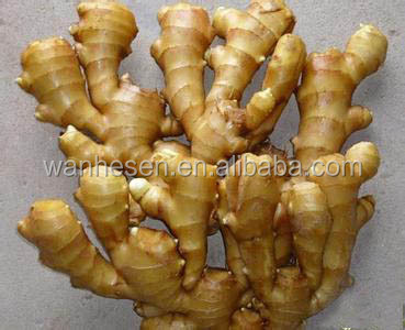 air dry ginger - best price from China