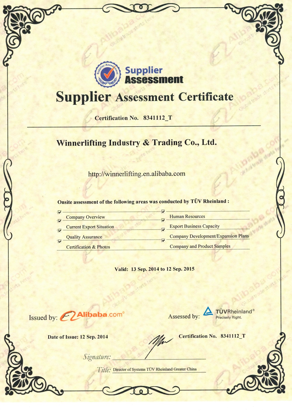 Assessment Certificate from Alibaba.jpg
