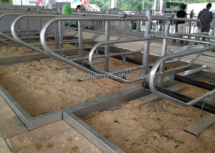 pl3406316-3mm_thickness_galvanized_pipe_cow_free_stall_for_dairy_cow_farms
