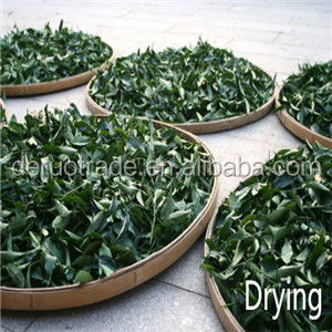 Very effective and easy to use weight loss drink green tea export