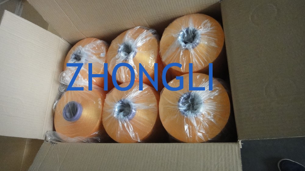 DTY CARTON-3.jpg