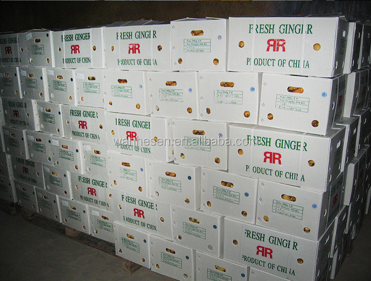 2014 High Quality New Crop Chinese Fresh Ginger Exporter in Shandong of China