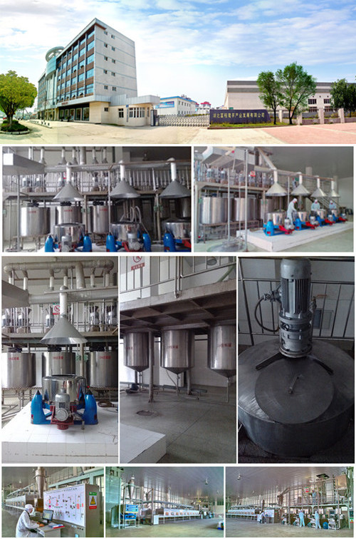dried konjac noodles to export standard