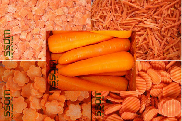 IQF carrot diced frozen carrot frozen mixed vegetable