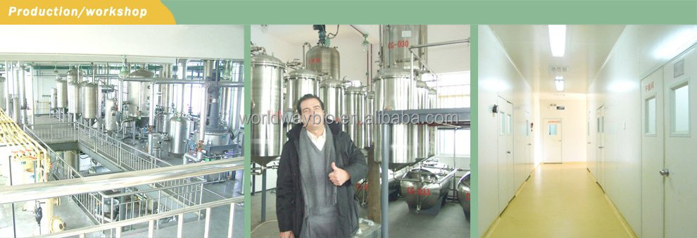 piperine free sample HACCP KOSHER GMP certified China factory food grade 10% black pepper extract piperine