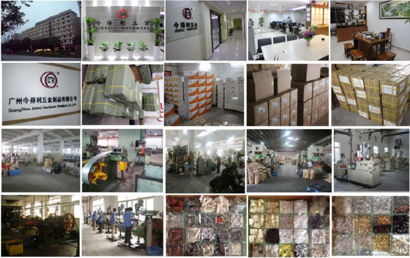 company profile.jpg