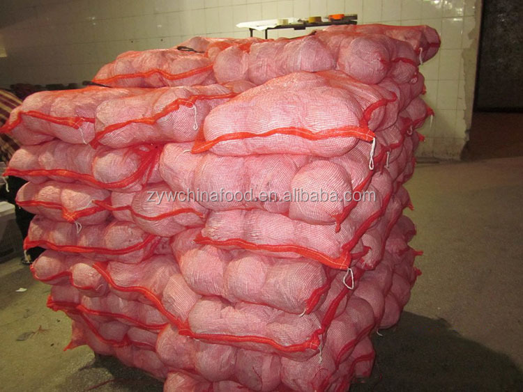 New Crop Chinese Cabbage Fresh Organic Cabbage - Good Supplier