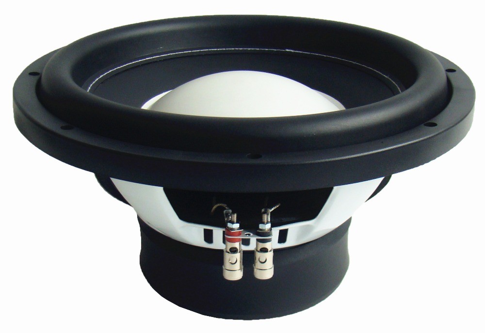 12 inch subwoofer.jpg