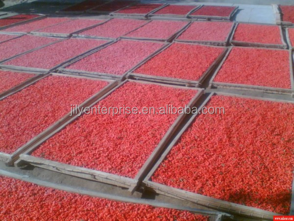 2014 KOSHER/HACCP/NOP/IMO/HALAL certified goji berry