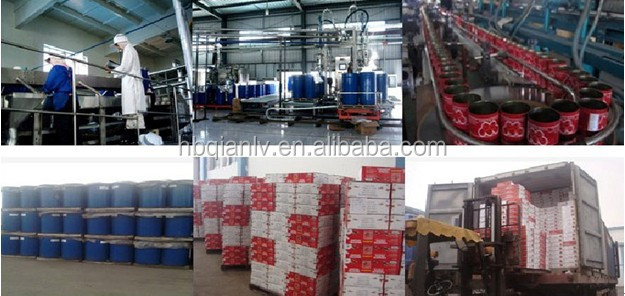 Tomato sauce/Tomato Paste in drum