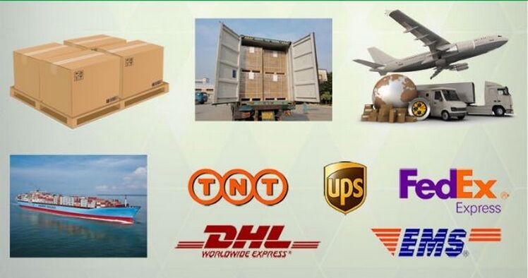 shipping