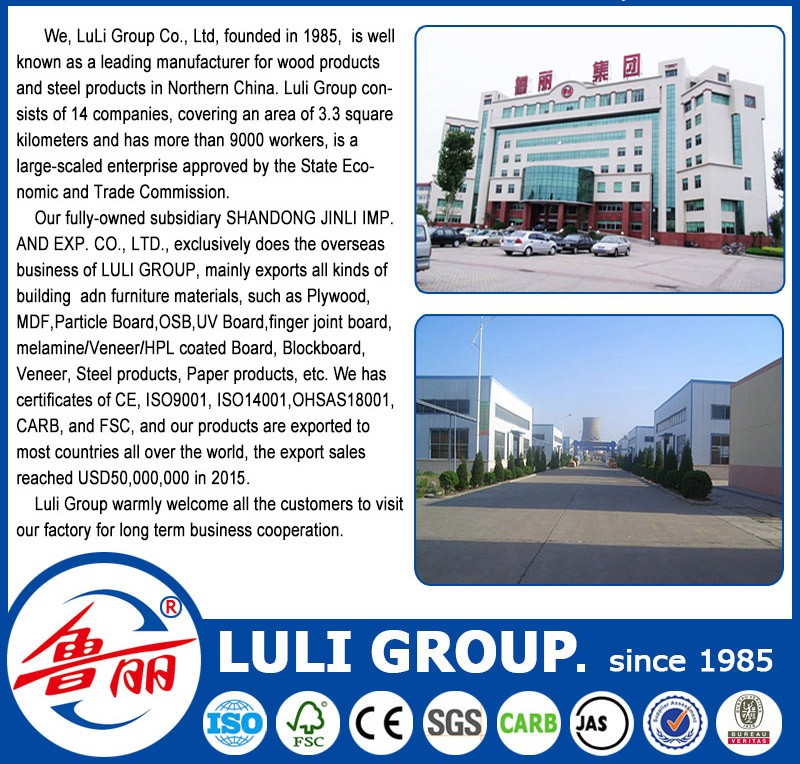 LULI GROUP.jpg