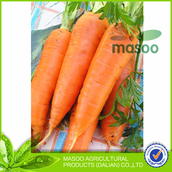 wholesale carrot 2014