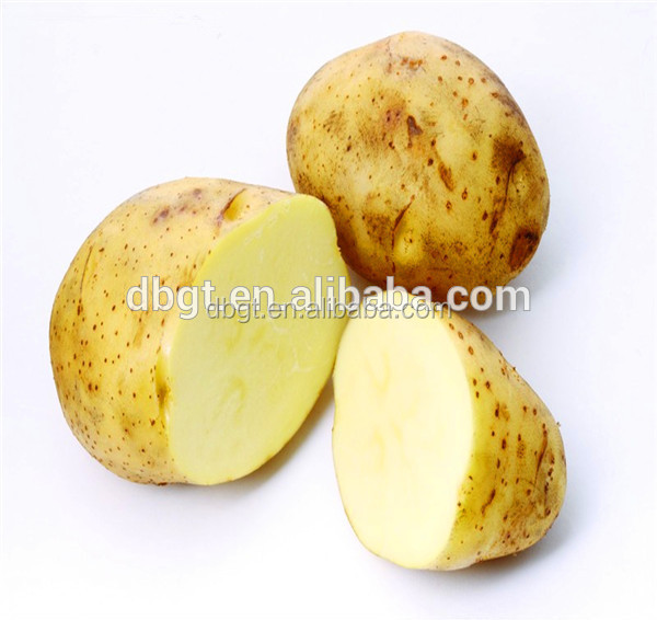 THE MOST POPULA CRAZY,CRISP POTATO ,HOLLAND POTATO NON-POLLUTION