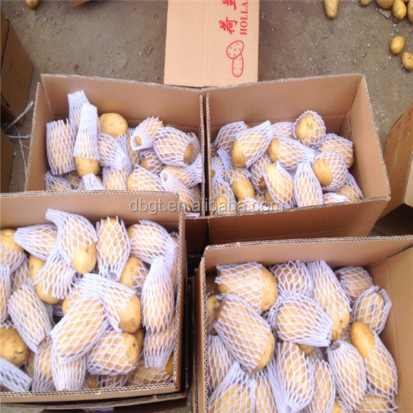 shaanxi new potato product in the market
