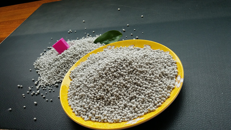 20150817_111036_.jpg