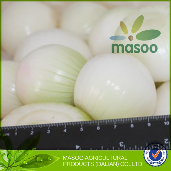 2014 New Crop High Quality Shandong Fresh Yellow Onion