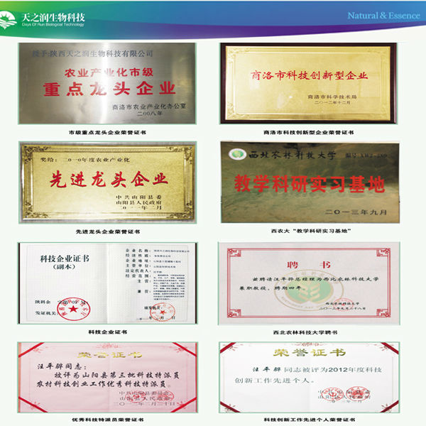100% water soluble instant Coconut shell meat powder
