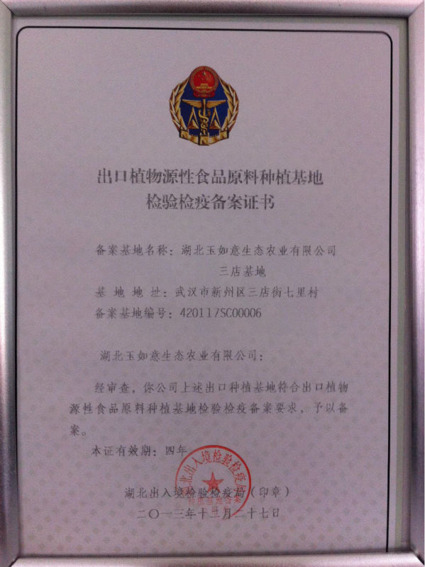 importers frozen vegetables cauliflower from Chinese supplier