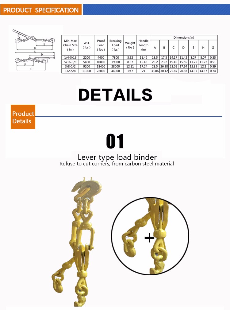 lb1_03.jpg