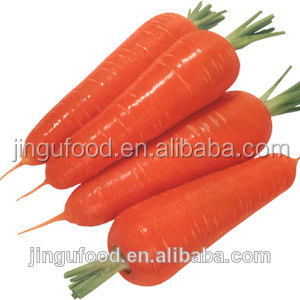 Freeze Dried Carrot Cubes