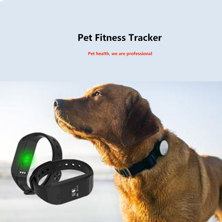 pet fitness tracker