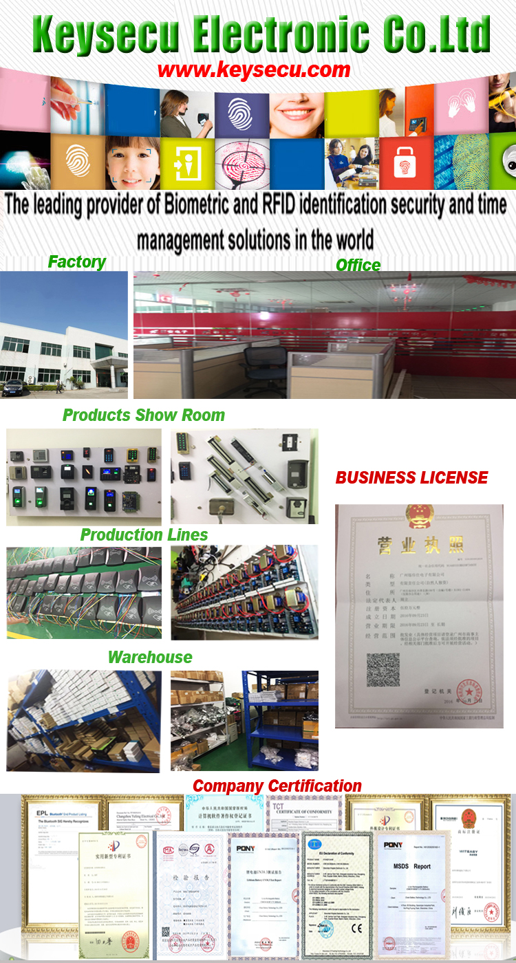 Company Information